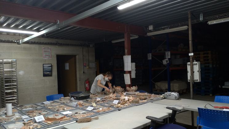 DECOUVERTE METIERS ARCHEOLOGIE - (12/17 ans)