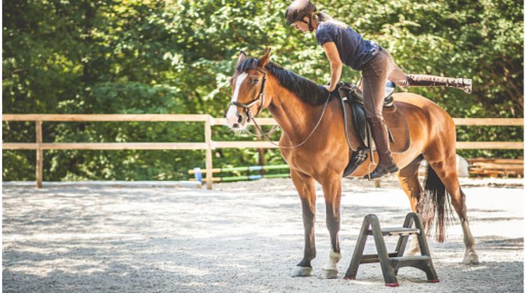 EQUITATION - SOIN DU CHEVAL ET PLAGE - (11/17 ans)