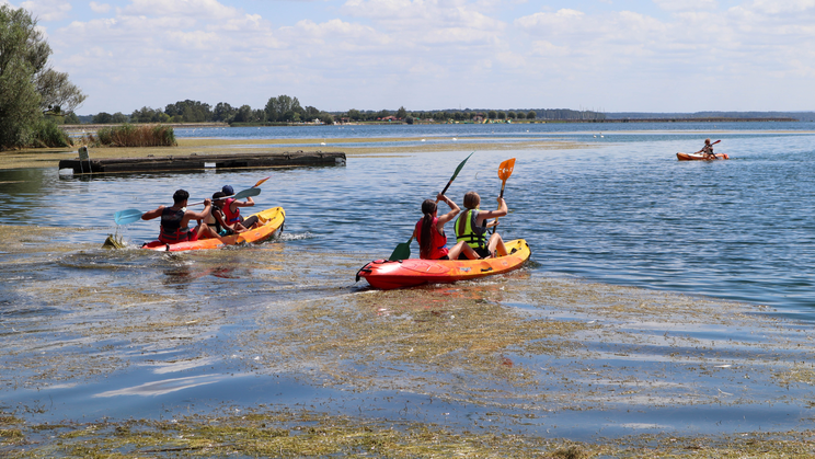 JOURNEE EVASION SPORTIVE AU LAC DU DER - (11/17 ans)