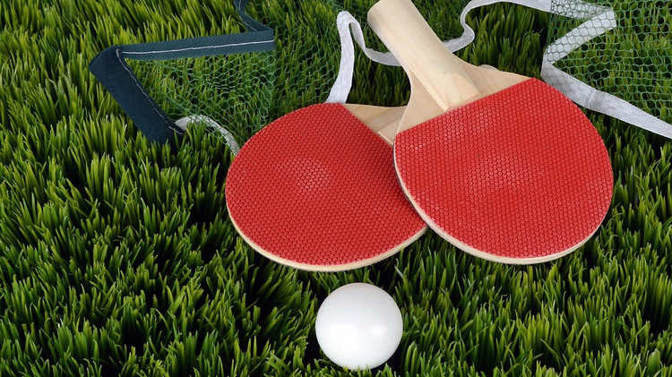 TENNIS DE TABLE