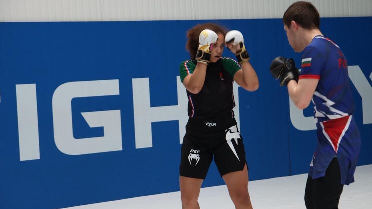 MMA